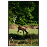 06057711-3c6c-4327-9c2f-3eaf98ed1bdf
